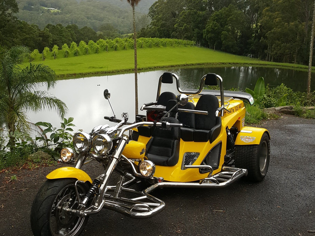 Kangaroo Valley Trike Tours景点图片