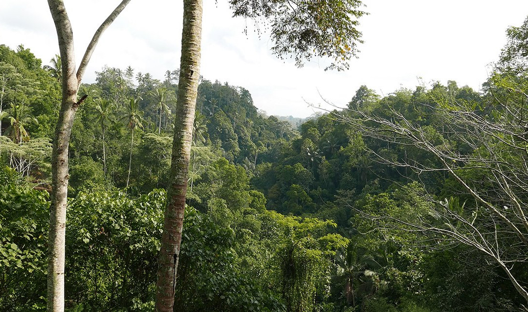 Toya Retreat Villas主图