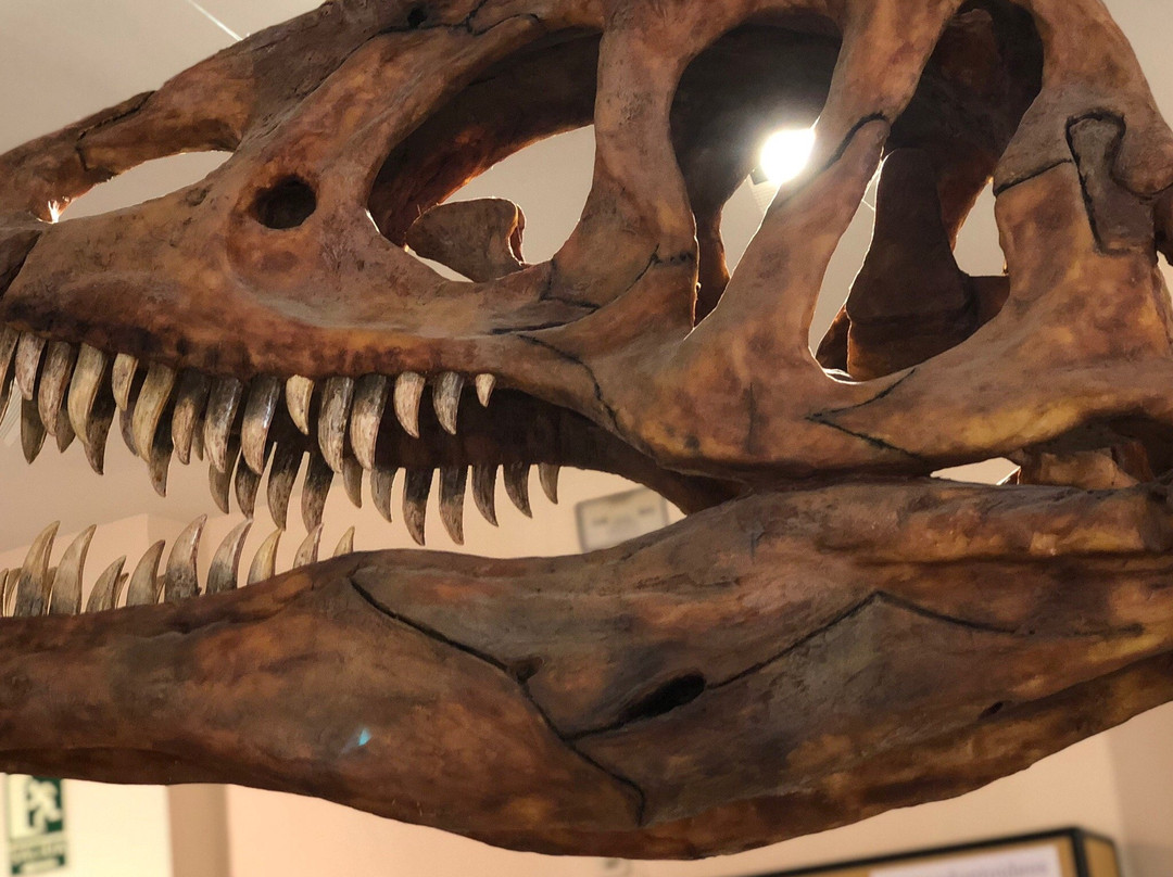 Museo de los Dinosaurios-Salas de los Infantes必去景点