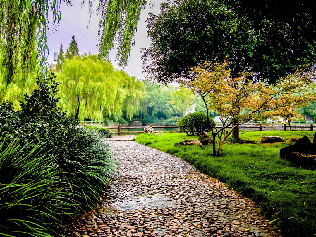 飞霞公园-舒城县必去景点