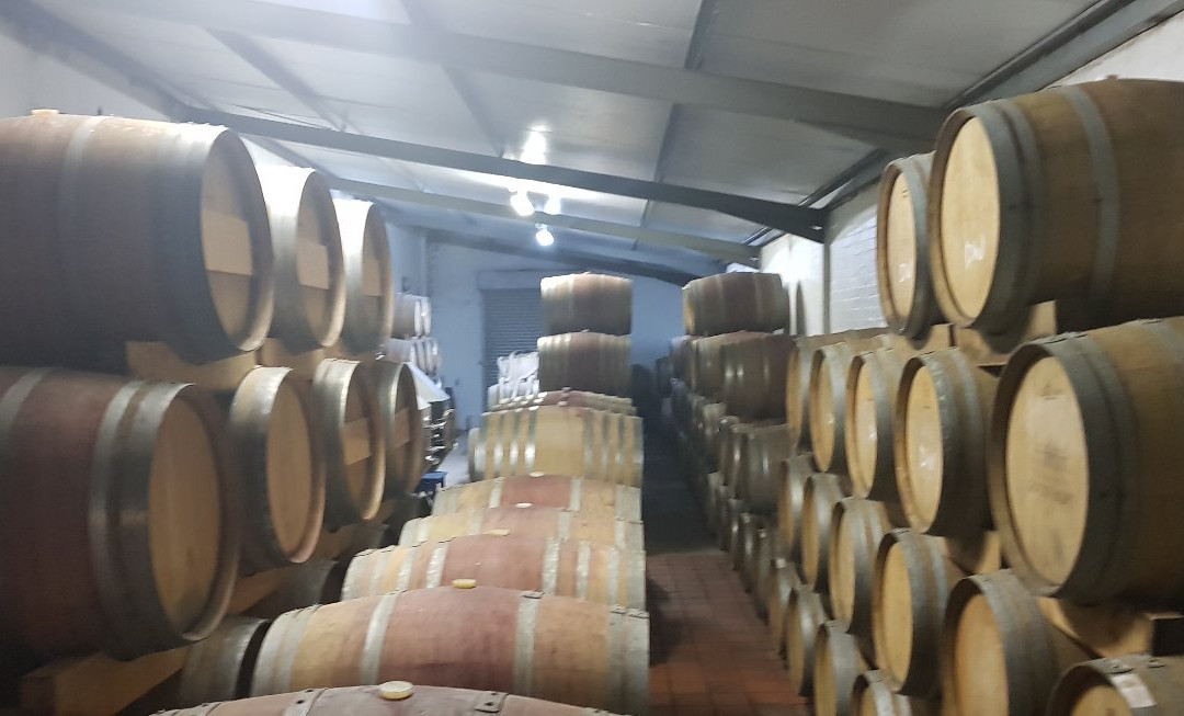 Boschkloof Wines-斯泰伦博斯必去景点