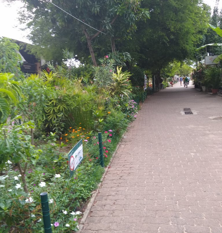 Centro de Artesanato de Praia de Forte-普拉亚多海滩必去景点
