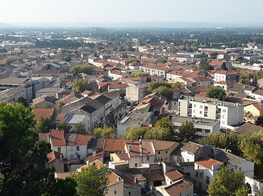 Chateau Feodal de Chateaurenard景点图片