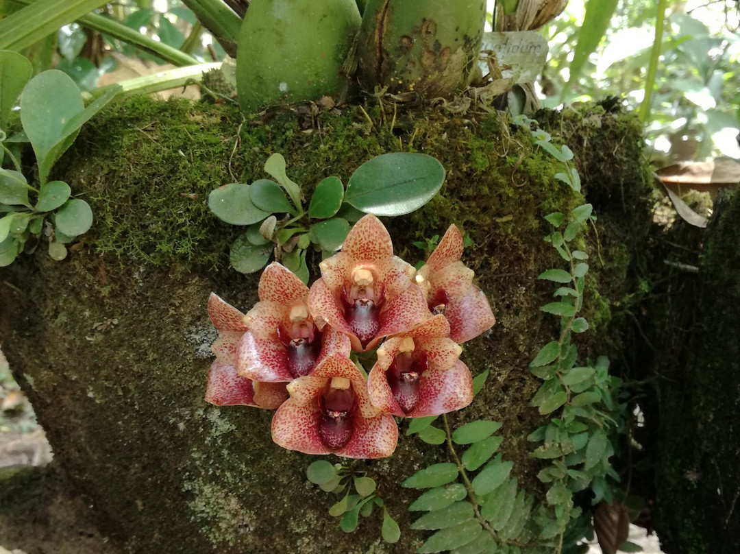 Waqanki Lodge-Moyobamba必去景点