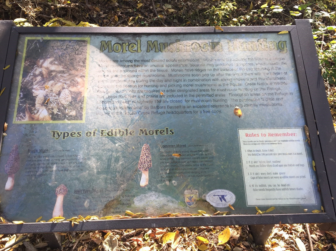 Loess Bluffs National Wildlife Refuge-Mound City必去景点