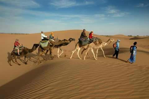 Sama Tours Maroc景点图片