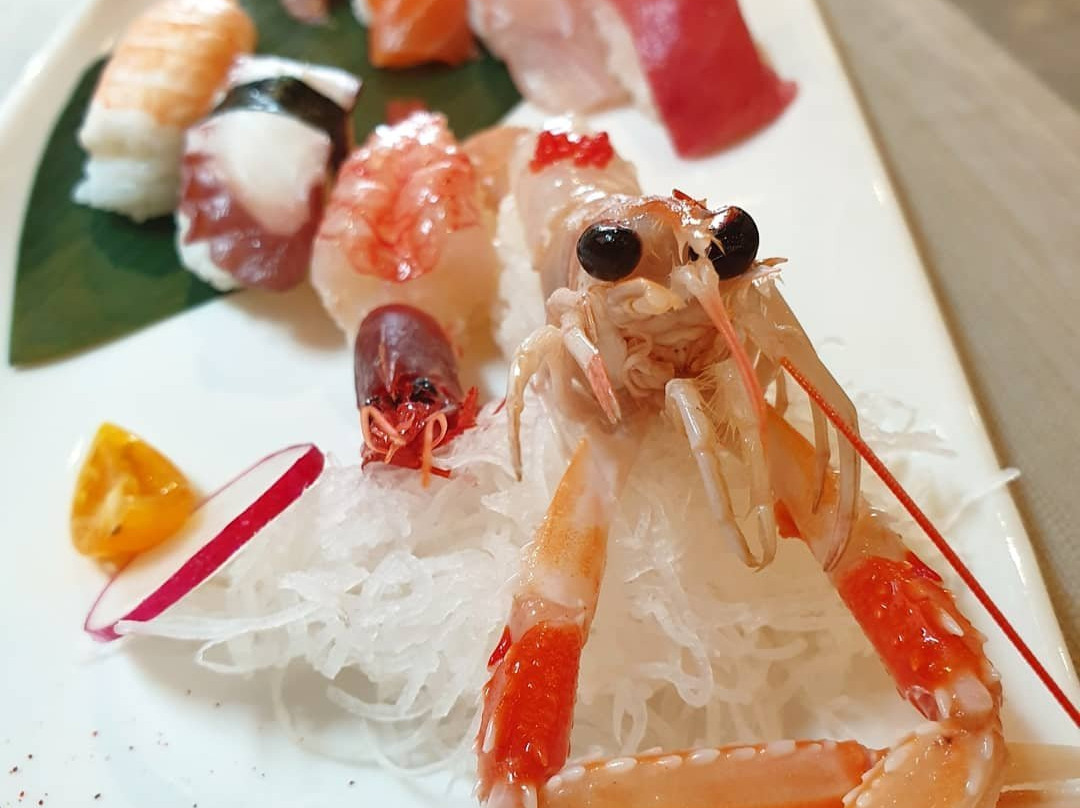 MYO Japanese Cookery