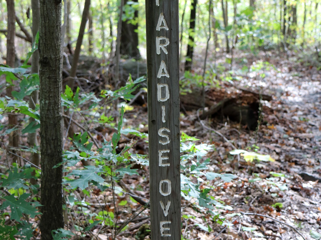 Bear Run Nature Reserve-Mill Run必去景点