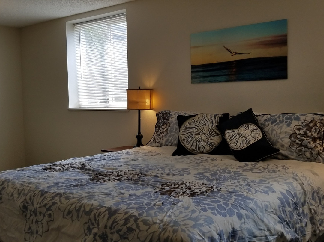 Beachcombers Haven主图