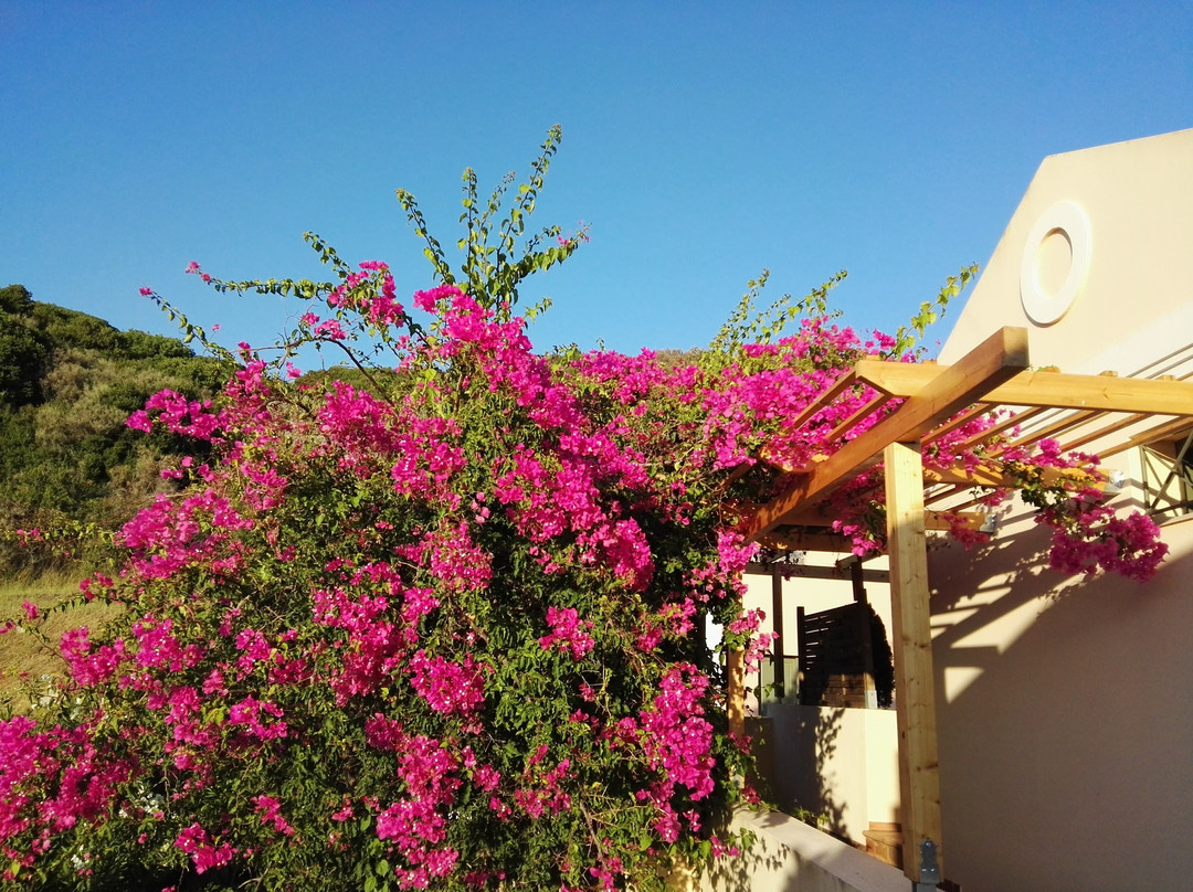 Mounda Beach Hotel主图