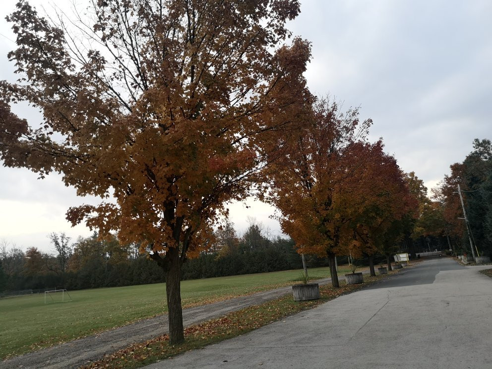 Emerald Lake Trailer Resort & Water Park-Puslinch必去景点