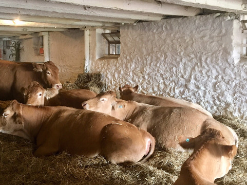 Knox's Pumpkin Farm-Hampton必去景点