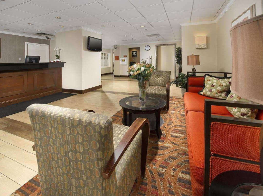 贝塞斯达美利坚饭店主图