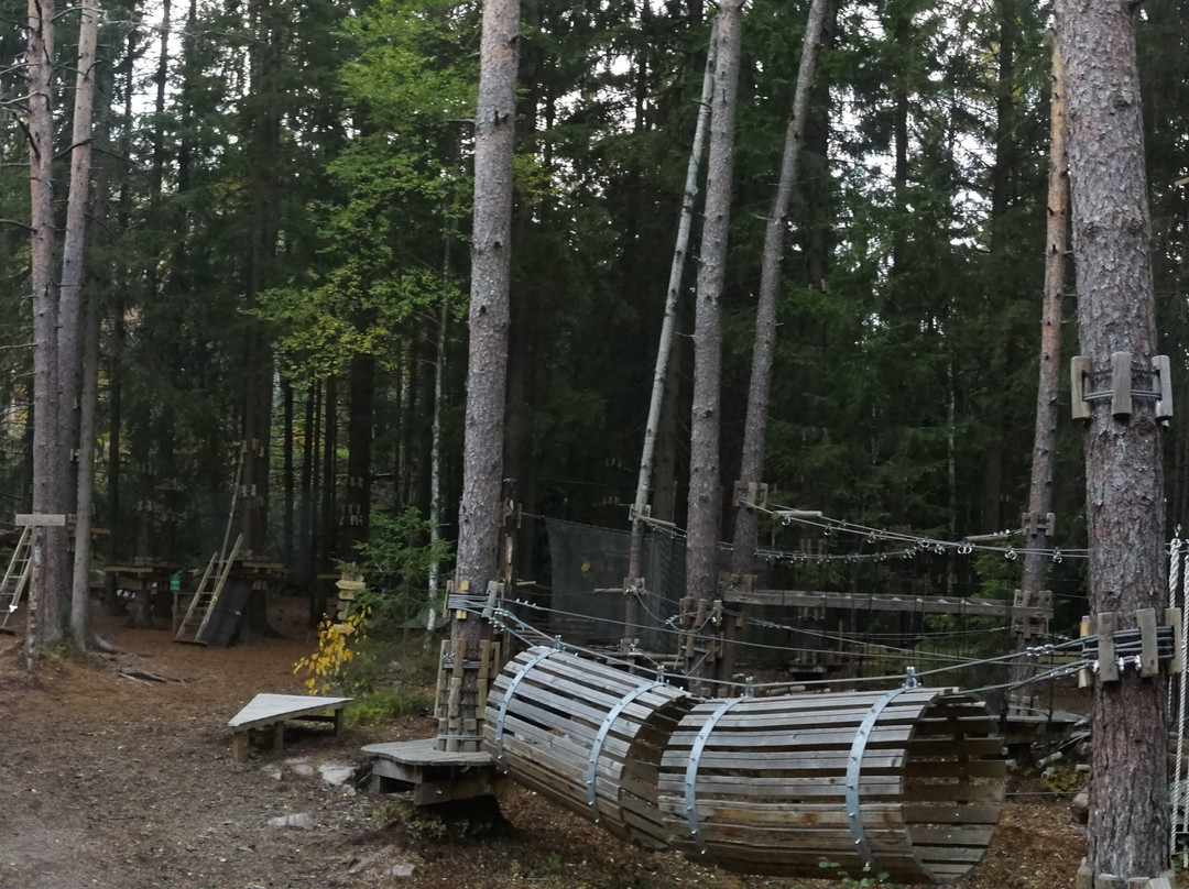 Oslo Klatrepark-奥斯陆必去景点