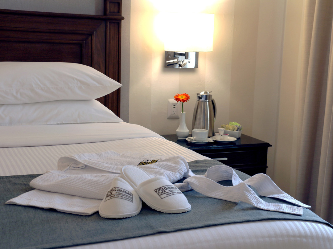 Gamma Monterrey Gran Hotel Ancira主图