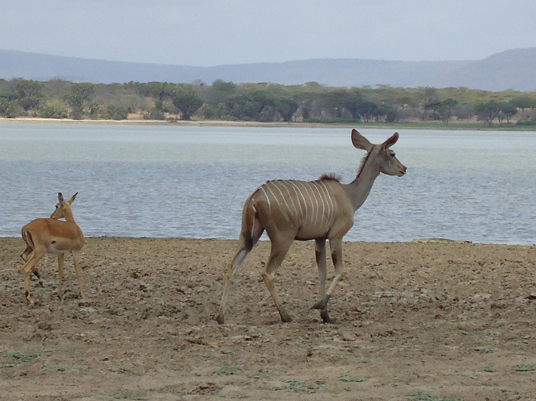 Road 2 Africa-Dar es Salaam必去景点