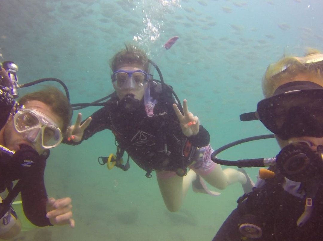 Malaysia Dive Team-刁曼岛必去景点