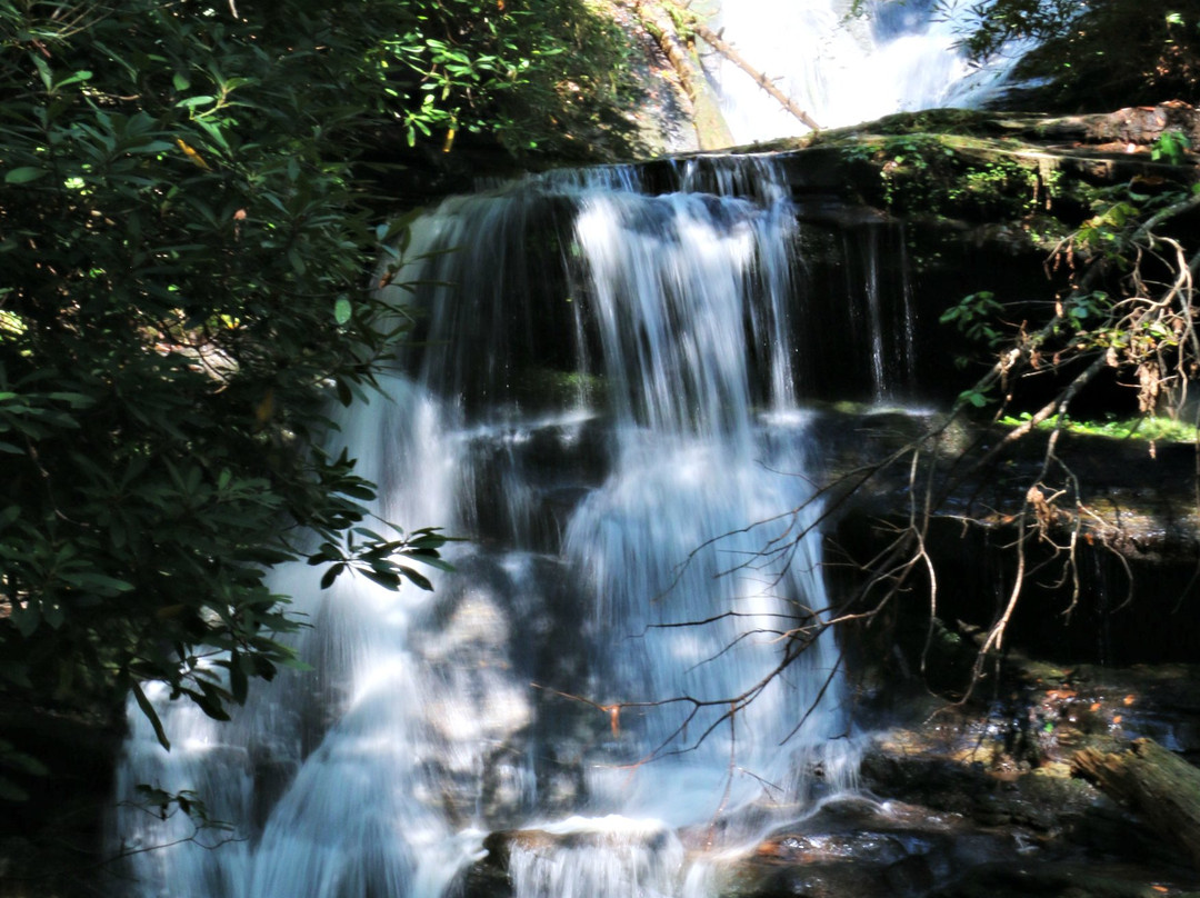 Martins Creek Falls-Clayton必去景点