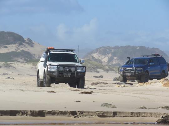 Tasmanian Offroad Adventures-朗塞斯顿必去景点