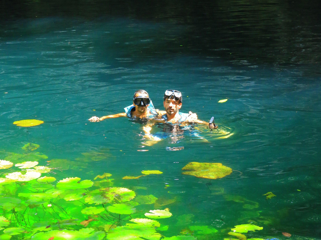 Experiencias Xcaret-切图马尔必去景点