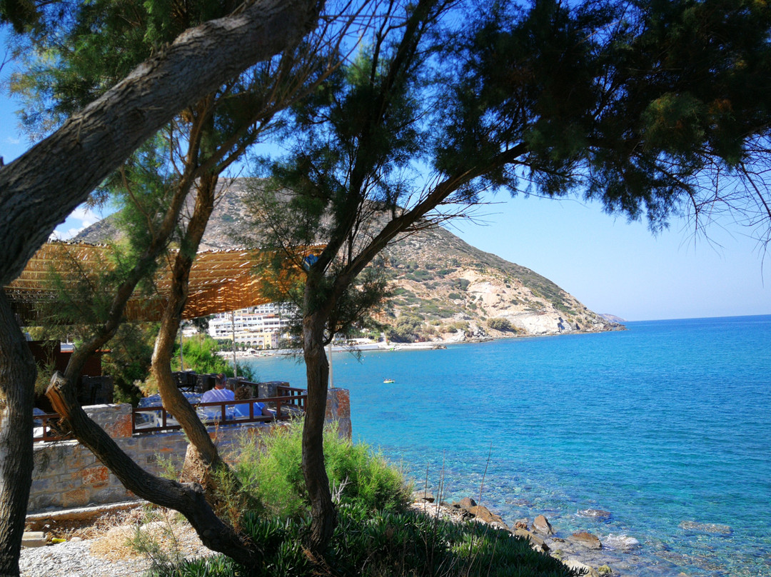 Fodhele餐馆和美食-Opou Vastaxi