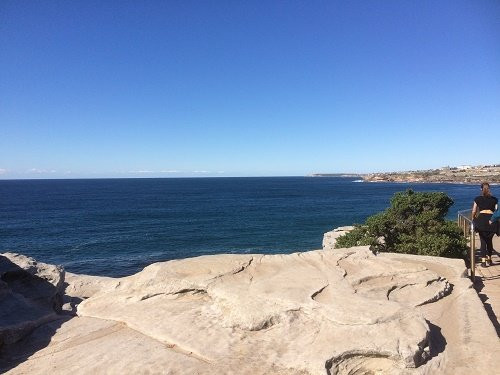 Marks Park-Tamarama必去景点