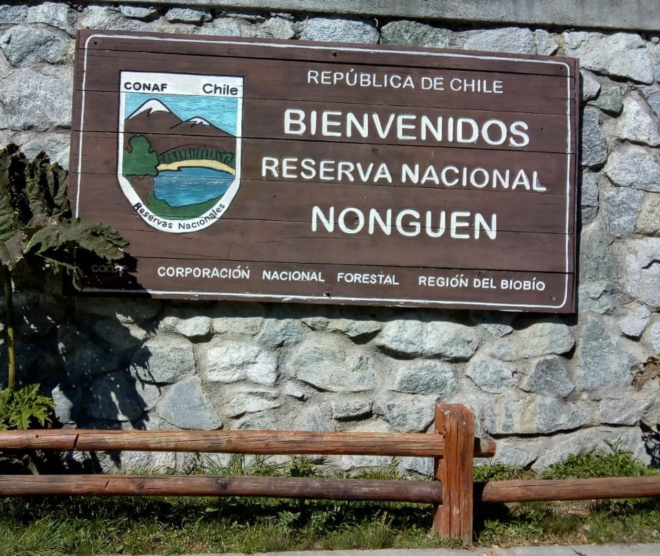 Reserva Nacional Nonguen景点图片