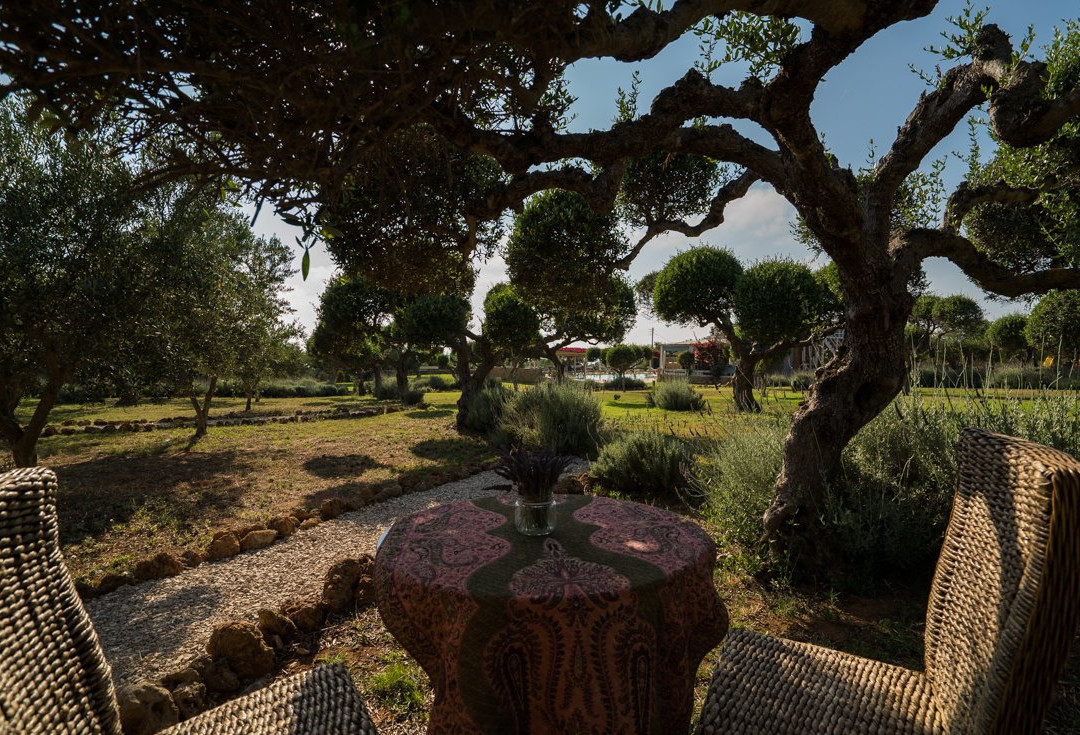 Agrikies Country Retreat主图