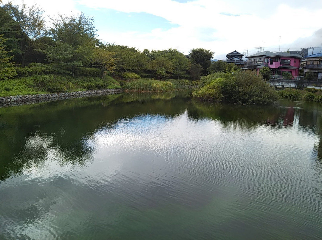 Imaizumi Meisui Sakura Park-秦野市必去景点