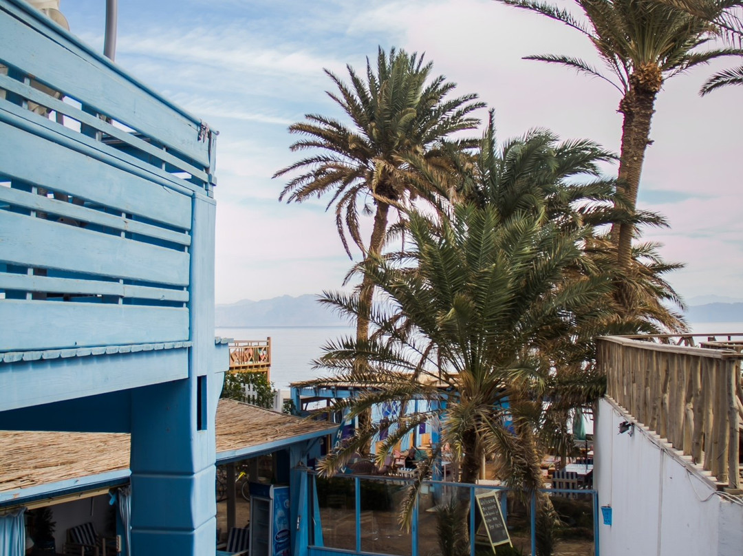 El Primo Hotel Dahab主图