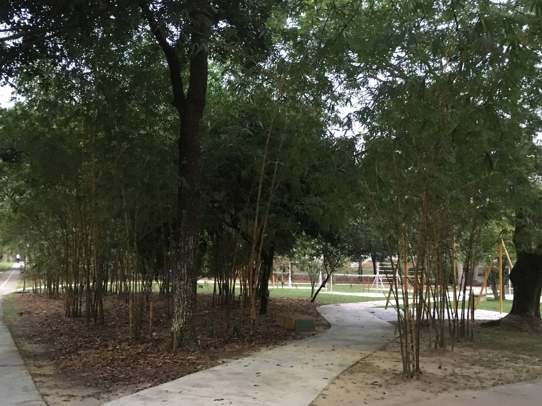 Tasik Taman Jaya-八打灵再也必去景点