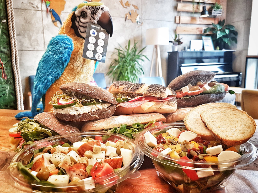 Parrot Coffee