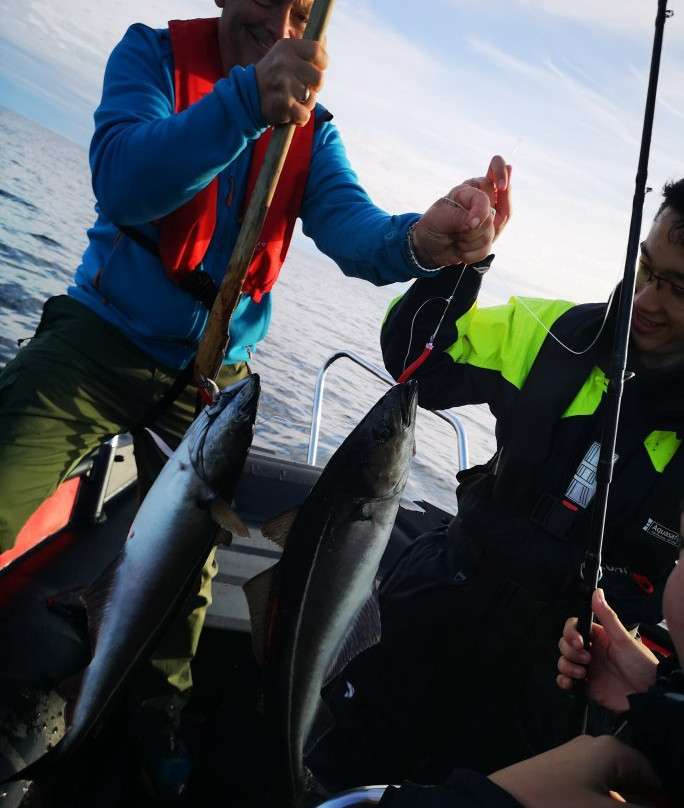 Lofoten fishing & searafting景点图片