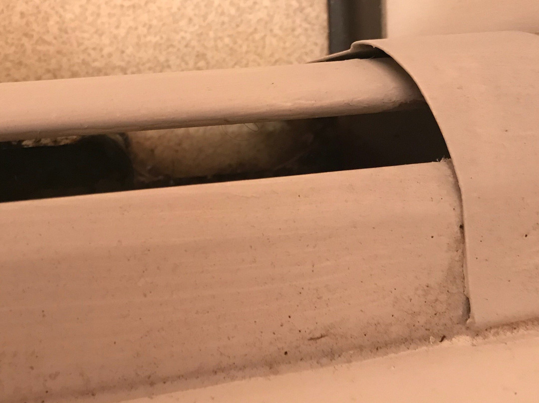 Lakeside Motor Lodge主图