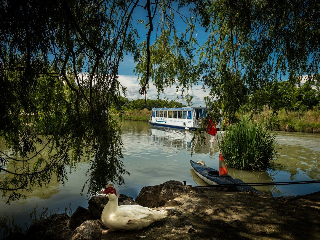 Bateau Le Colombiers景点图片