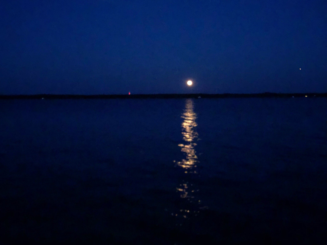 Caribbean of the North主图