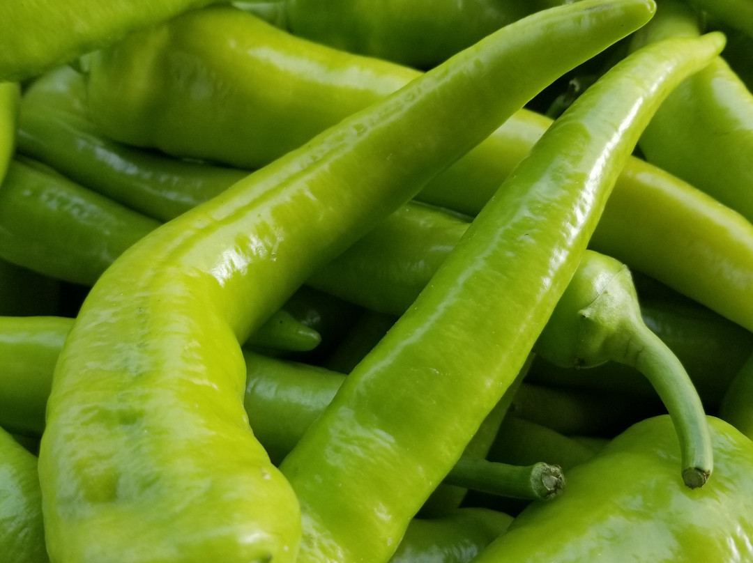 Hamburg Farmers' Market-Hamburg必去景点