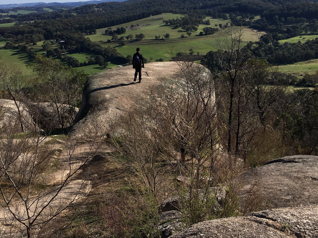 Garfield旅游攻略图片