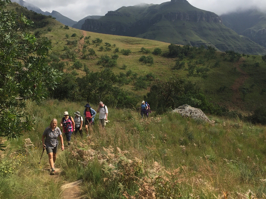 Maloti Drakensberg Park景点图片