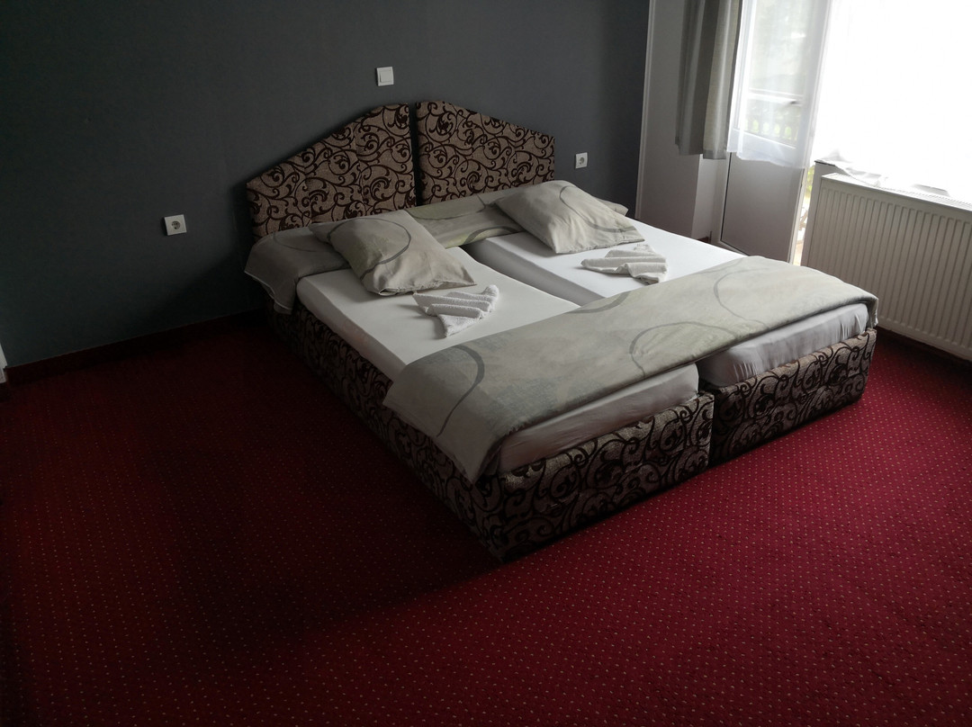 Pensiunea Golden主图