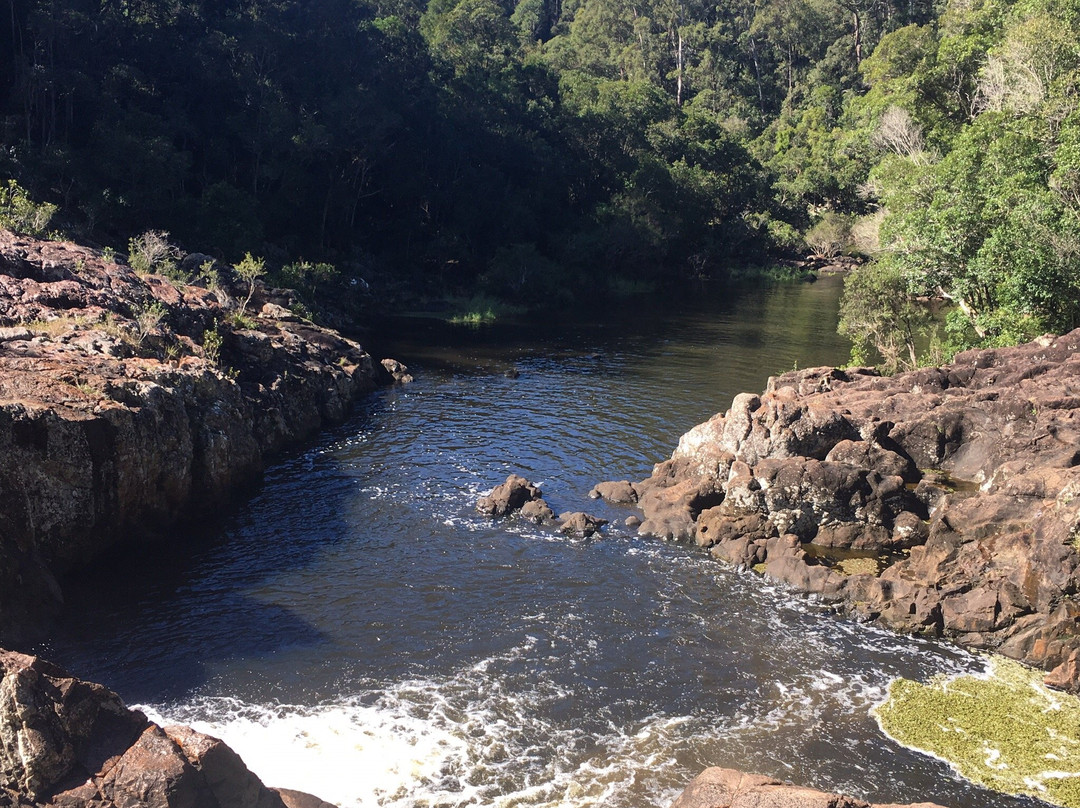 Yandina旅游攻略图片