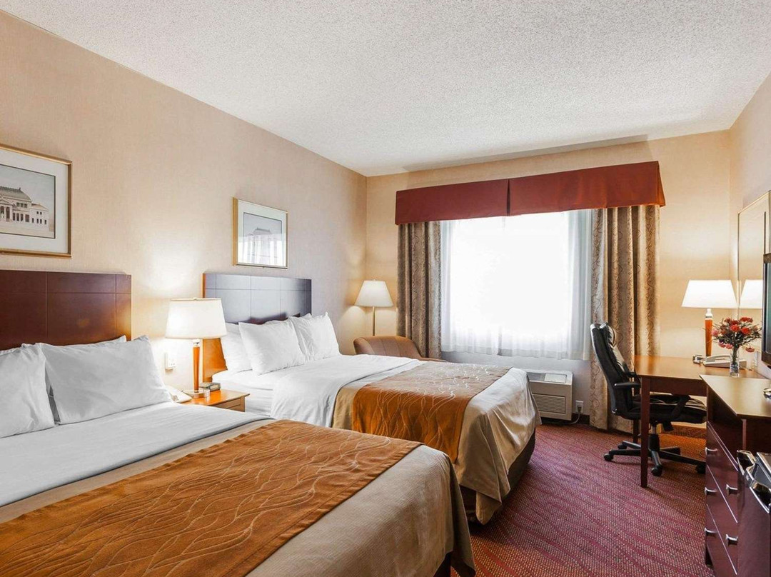 Comfort Inn & Suites Kelso - Longview主图