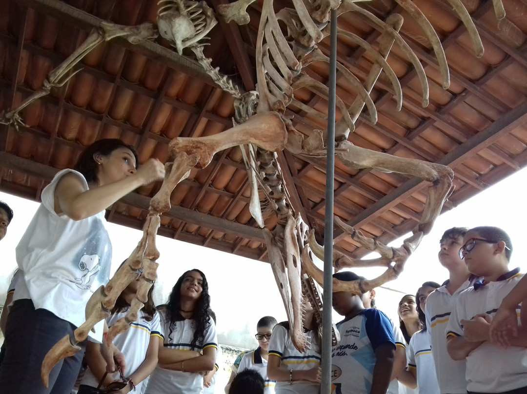 Museu Pre-Historia de Itapipoca-Itapipoca必去景点