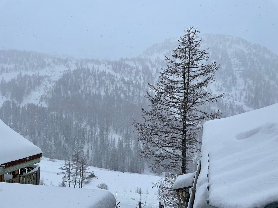 Le Lodge Isola 2000