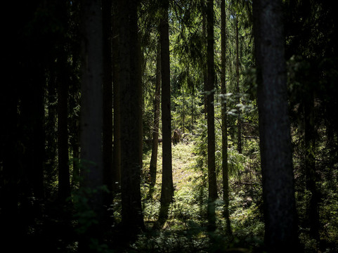 Norman Travels-赫尔辛基必去景点