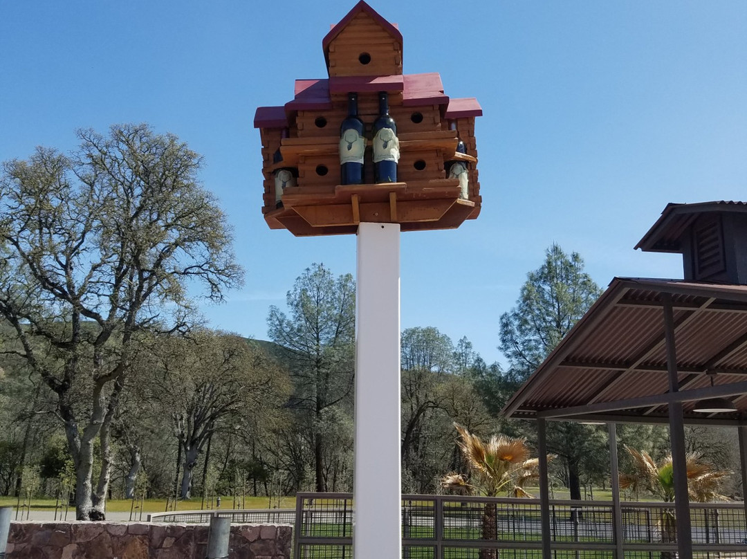 Cache Creek Vineyards & Winery景点图片