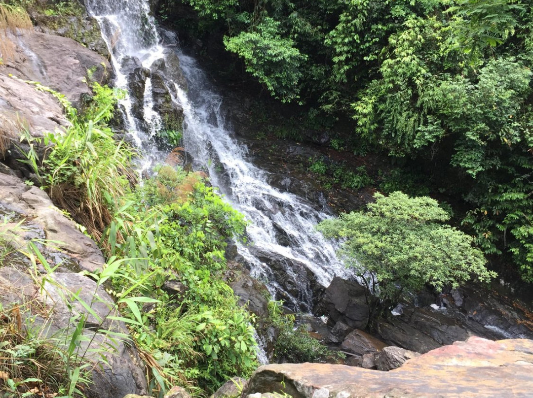 Phong Nha Booking Tour景点图片