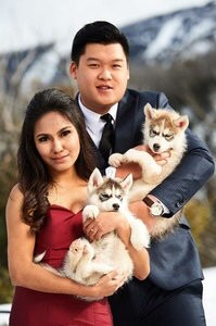 Australian Sleddog Tours-Mount Buller必去景点