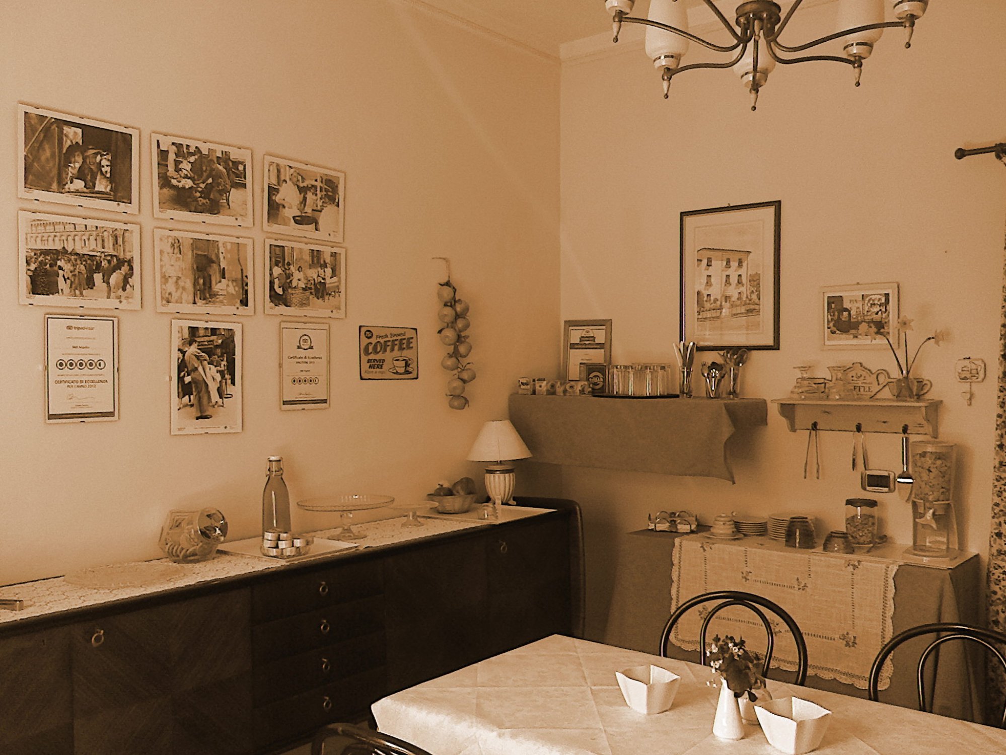 B&B Angelini-官方