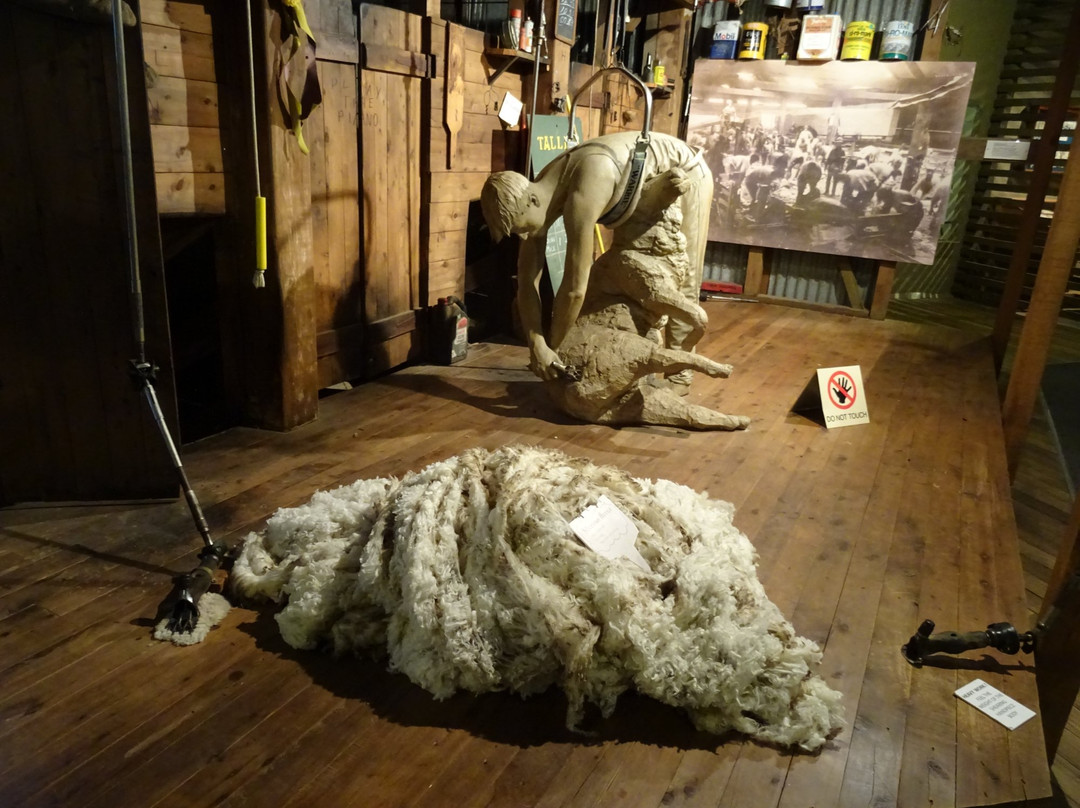 季隆旅游景点-National Wool Museum